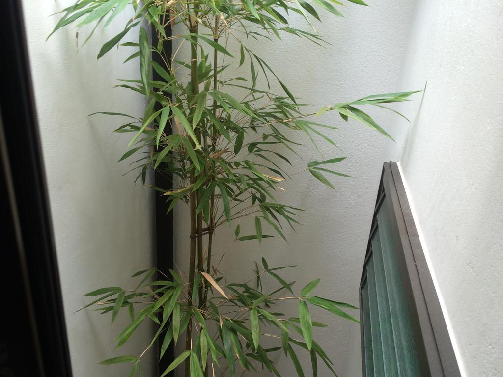 Hananoya Bettei Киото Екстериор снимка